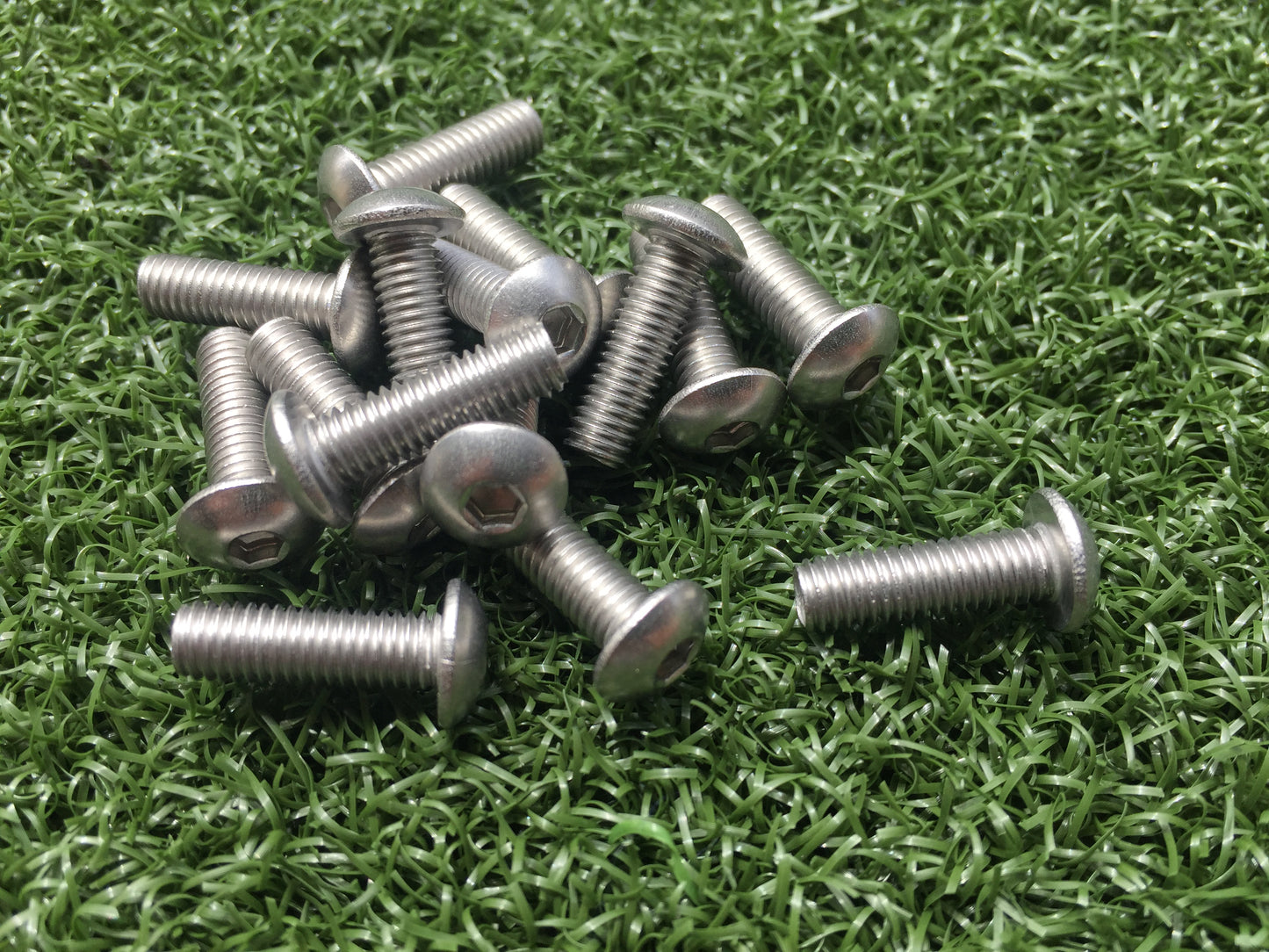 15 Long Hopper Screws